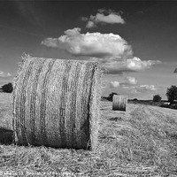 Buy canvas prints of Round straw bales by A B