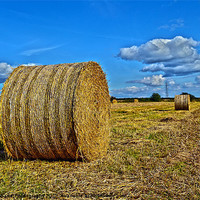 Buy canvas prints of Round Straw Bales by A B