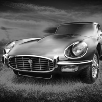 Buy canvas prints of E-Type by Rock Weasel Designs