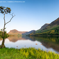 Buy canvas prints of Loan Tree at Buttermere by bryan hynd