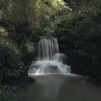 Buy canvas prints of Pittencreiff Park Waterfall by bryan hynd