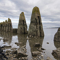 Buy canvas prints of Cramond in Colour by bryan hynd