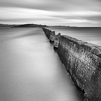 Buy canvas prints of High Tide at Cramond Portrait by bryan hynd