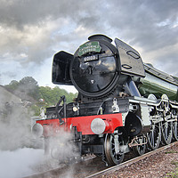 Buy canvas prints of The Flying Scotsman by bryan hynd