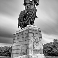 Buy canvas prints of Robert the Bruce by bryan hynd