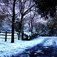 Buy canvas prints of Snow by Elizabeth Page