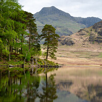 Buy canvas prints of Calm water on Blea Tarn by Steve Jackson