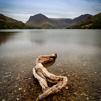 Buy canvas prints of Driftwood on Buttermere lake by Steve Jackson