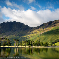 Buy canvas prints of The Pines on Buttermere by Steve Jackson