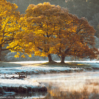 Buy canvas prints of Morning mist on the River Brathay by Steve Jackson