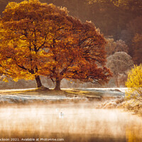 Buy canvas prints of Autumnal mist on the River Brathay by Steve Jackson