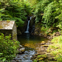 Buy canvas prints of Rydal waterfall and Summer House by Steve Jackson
