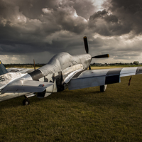 Buy canvas prints of Facing The Storm by Dan Kemsley