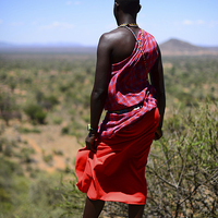 Buy canvas prints of Maasai Warrior  by Perry Johnson