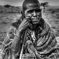 Buy canvas prints of Maasai Farmer by Perry Johnson