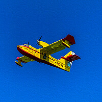 Buy canvas prints of Sea plane  by Perry Johnson