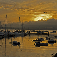 Buy canvas prints of Golden harbour by Steven Dunn-Sims