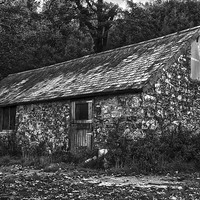 Buy canvas prints of The old tool shed by Steven Dunn-Sims