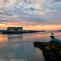 Buy canvas prints of Nelson and friend enjoy the sunrise on The River Looe in Cornwall by Rosie Spooner
