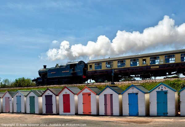 Steam Train Goliath passing the beach huts at Goodrington Beach in Torbay Picture Board by Rosie Spooner