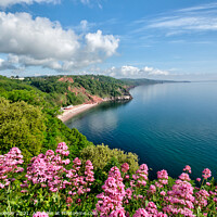 Buy canvas prints of Oddicombe Beach view from Babbacombe Downs by Rosie Spooner