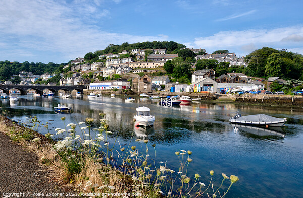 Early morning on The River Looe in Cornwall Picture Board by Rosie Spooner