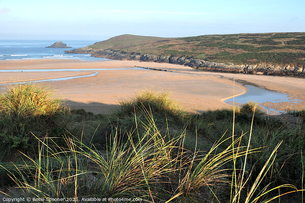 Crantock Beach from The Sand Dunes in Cornwall Picture Board by Rosie Spooner