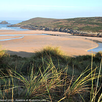 Buy canvas prints of Crantock Beach from The Sand Dunes in Cornwall by Rosie Spooner
