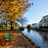 Buy canvas prints of Dawlish Brook in Autumn by Rosie Spooner