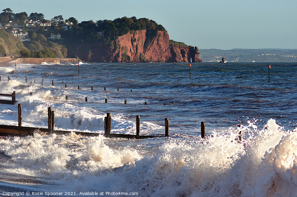 Rough seas at Teignmouth Picture Board by Rosie Spooner
