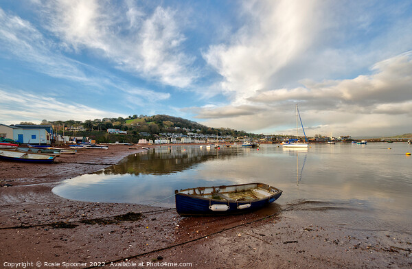 Low tide on Teignmouth Back Beach  Picture Board by Rosie Spooner