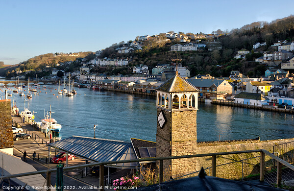 Looking down on The River Looe in Cornwall Picture Board by Rosie Spooner