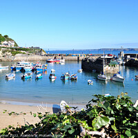 Buy canvas prints of Newquay Harbour in Cornwall by Rosie Spooner