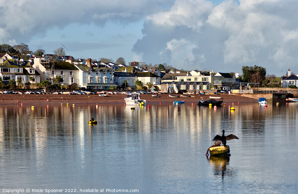 Early morning view of Shaldon  Picture Board by Rosie Spooner