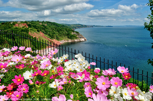Beautiful flowerbeds at Babbacombe Downs Picture Board by Rosie Spooner