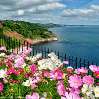 Buy canvas prints of Beautiful flowerbeds at Babbacombe Downs by Rosie Spooner