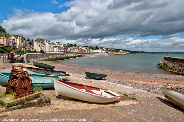Boat Cove at Dawlish Picture Board by Rosie Spooner