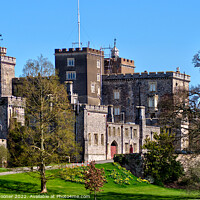 Buy canvas prints of Powderham Castle in Devon by Rosie Spooner
