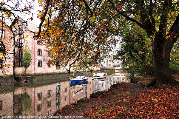Autumn at Totnes Picture Board by Rosie Spooner