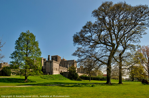 Powderham Castle in South Devon Picture Board by Rosie Spooner