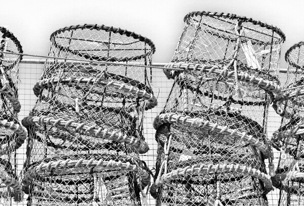 Just Lobster Pots  Picture Board by Rosie Spooner