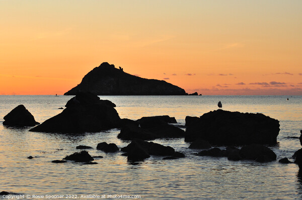 Sunrise view of Thatcher Rock  Picture Board by Rosie Spooner