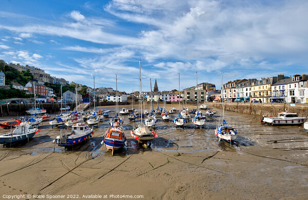 Low tide at Ilfracombe Harbour in North Devon Picture Board by Rosie Spooner