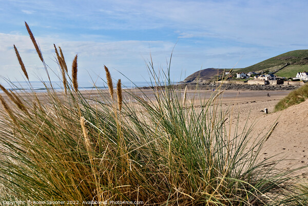 Croyde Bay from The Sand Dunes Picture Board by Rosie Spooner