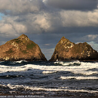 Buy canvas prints of Waves by Gull Rocks Holywell by Rosie Spooner