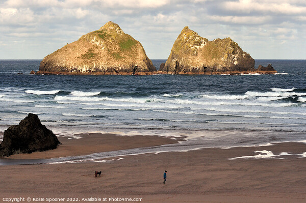 Gull Rocks Holywell Beach Picture Board by Rosie Spooner
