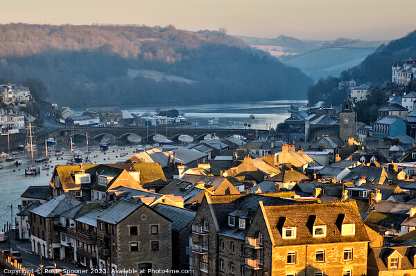 Golden light over Looe looking up river  Picture Board by Rosie Spooner
