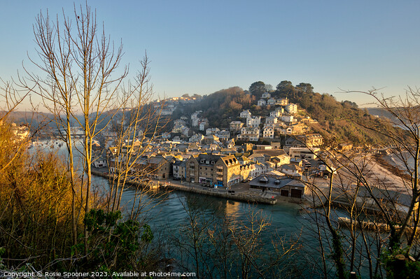 The River and East Looe just after sunrise  Picture Board by Rosie Spooner