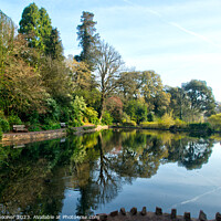 Buy canvas prints of Early morning reflections at Cockington Lakes by Rosie Spooner