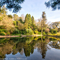 Buy canvas prints of Reflections at Cockington by Rosie Spooner
